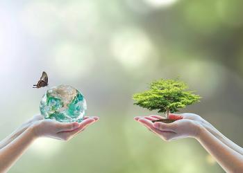World environment day and go green with csr concept with tree planting on volunteers' hand. Element of the image furnished by NASA