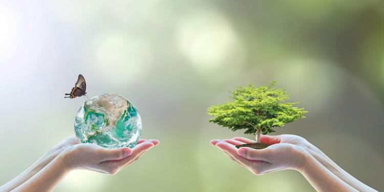 World environment day and go green with csr concept with tree planting on volunteers' hand. Element of the image furnished by NASA