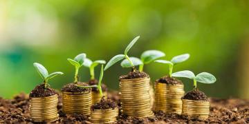 Growth, green, business.