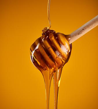Closeup of honey dripping off a wooden dipper, isolated on yellow background