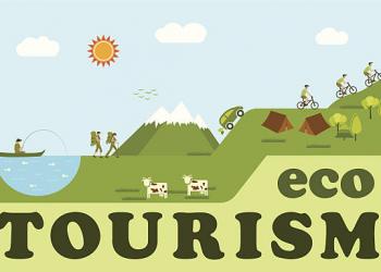 Eco tourism activities design.