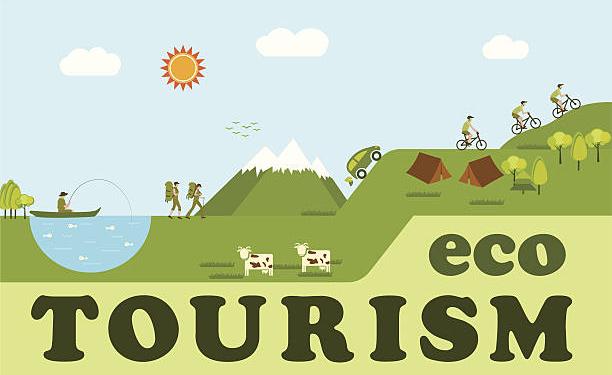 Eco tourism activities design.